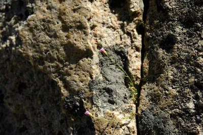 DSC_0201 (Large).JPG